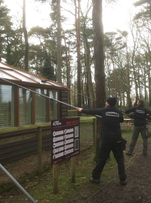 Window Cleaning at Port Lympne Zoo